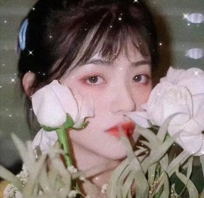 六十女大盗